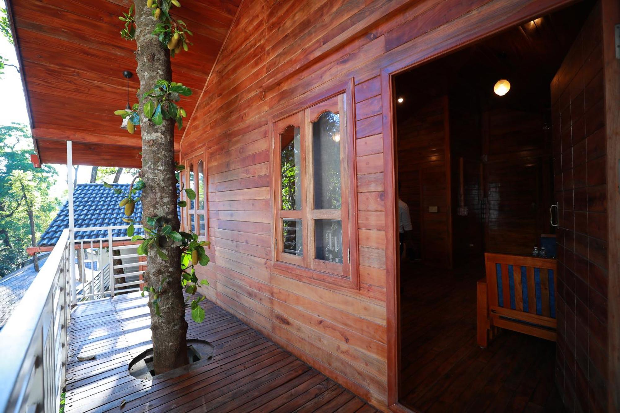 Coorg Coffee Bean Resort 马迪凯里 外观 照片